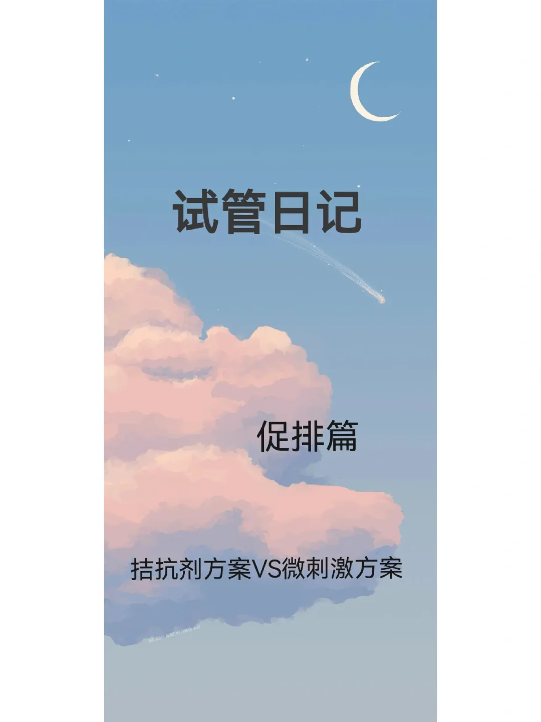 试管日记（促排篇）——拮抗剂方案vs微刺激,国内代怀孕排名，国内助孕网站有哪些