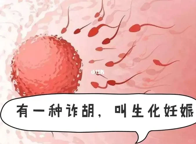 生化妊娠算不算流产史？,供卵代孕包男孩_国内借卵试管婴儿包男孩