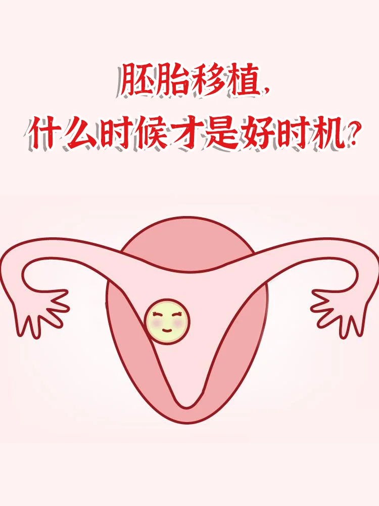 胚胎移植，什么时候才是好时机？,国内代孕网站