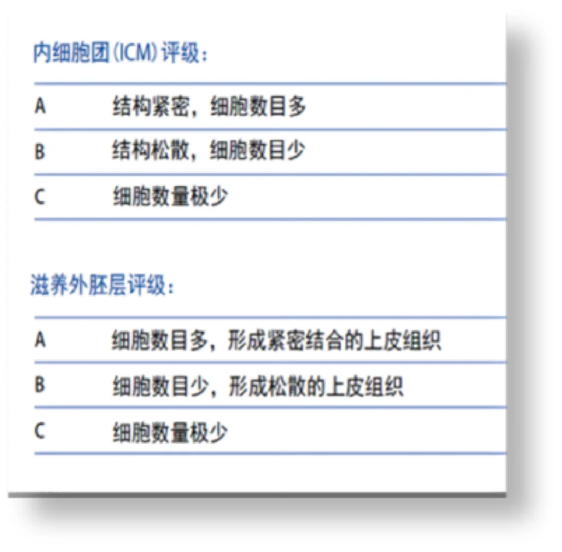 囊胚的评分标准,代孕安全零风险