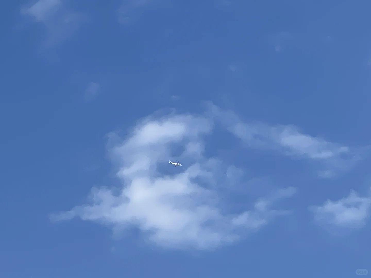 关于试管促排前做的准备（一）,代怀公司服务,国内有代怀生小孩